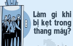 [Infographic] Làm gì khi bị kẹt trong thang máy?