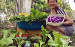 "Phát ghen" với vườn rau 20 loại của nàng dâu Việt ở Malaysia