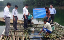 Yên Bái: Nhiều khoản hỗ trợ người nuôi thủy sản