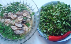 Chợt thèm canh rau đắng