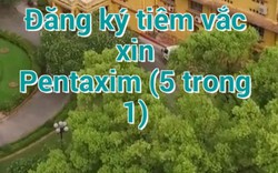 Có hay không việc “ém” vaccine 5 trong 1 “tuồn” ra thị trường?