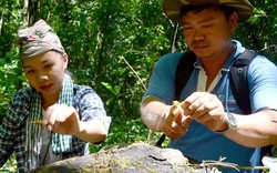 Chàng trai 'gàn' cùng hành trình trả hoa lan về tự nhiên