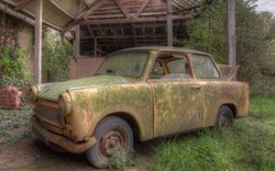 Rêu xanh phủ kín loạt xe bị bỏ rơi ở châu Âu