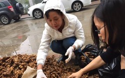 Diễn viên Chiều Xuân đội mưa đến mua gừng ủng hộ bà con Hà Giang