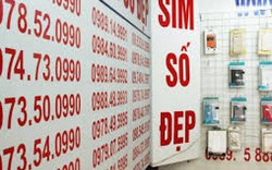 Đưa biển số đẹp, sim điện thoại đẹp vào tài sản công