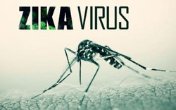 Năm 2017, dịch bệnh do virus Zika sẽ không dừng lại