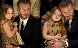 "Bà hoàng nhí" sang chảnh của siêu sao David Beckham