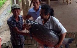 Cần thủ kể chuyện “săn” cá trắm đen 35kg ở hồ Hà Nội