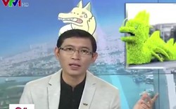 "Rồng pikachu" ở Hải Phòng lên sóng truyền hình, dân mạng sửng sốt