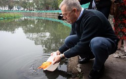 Đại sứ Mỹ thả cá chép, đi chợ mua hoa đào ngày ông Công ông Táo