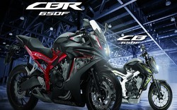 Honda CB650F và CBR650F 2017 ra mắt màu mới