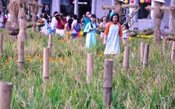 Ngắm hình ảnh làng quê ở “phố nhà giàu” tại Sài Gòn