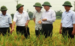 Xây dựng nông thôn mới ở Thanh Hóa: Đi trước, làm giỏi, kết quả cao