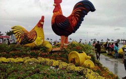 Thích thú ngắm cặp gà “khủng” cao 5,5 mét đón Tết tại Bình Định