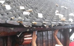 Khách thập phương rải tiển lẻ trắng mái chùa Đồng Yên Tử