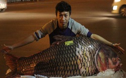 Cá hô đỏ "khủng" gần 100kg xuất hiện ở Hà Nội