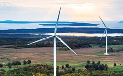 Điện gió - chiến lược năng lượng bền vững cho tương lai