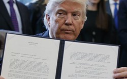 Toà Mỹ bác kháng cáo đòi khôi phục lệnh của ông Trump