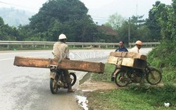 Vụ ngang nhiên chở gỗ lậu ở Quảng Trị: "Chẳng lẽ giờ phạt kiểm lâm à?"