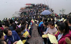 Đơn vị tổ chức phủ nhận phóng sinh 10 tấn cá ra sông Hồng