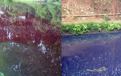 Sông màu đỏ-tím ở Hà Nội: Phạt nặng 5 cơ sở xả thải