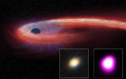 Lần đầu phát hiện siêu hố đen nuốt gọn một ngôi sao