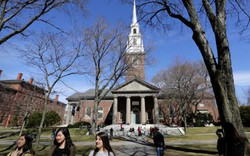 Vì sao khóa học này lại nổi tiếng nhất Harvard 4 năm liền?