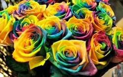 Quà tặng xa xỉ dịp Valentine: Hoa hồng Ecuador, iPhone 7 mạ vàng giá hàng chục triệu