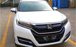 Bắt gặp Honda UR-V hoàn toàn mới