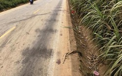 Thanh Hóa: Hai xe máy “đấu đầu”, 4 người tử vong