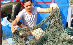 Bùn “lạ” làm hại ngư dân: Quảng Trị khẩn trương điều tra