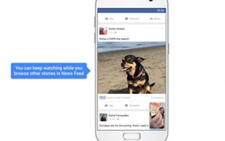 Facebook nâng cấp các tính năng mới cho video trên dòng thời gian