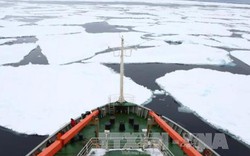 Diện tích băng ở Nam Cực giảm xuống mức thấp kỷ lục