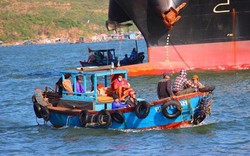 Bình Định: Hàng chục tàu dịch vụ hết đăng kiểm, hành khách “quên” mặc áo phao
