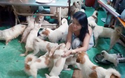 Người phụ nữ độc thân ở TP.HCM nuôi 90 con chó