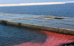Vệt nước đỏ xuất hiện tại biển Hà Tĩnh
