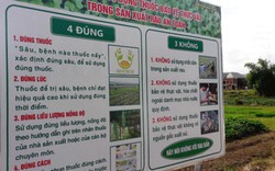 Tuyên truyền đảm bảo an toàn thực phẩm tận ruộng