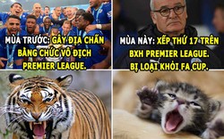 HẬU TRƯỜNG (19.2): Leicester “hóa mèo”, Mourinho “nổ vang trời”