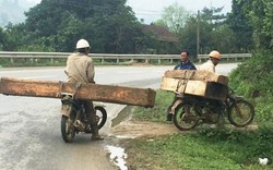 Quảng Trị: Tỉnh chỉ đạo làm rõ vụ ngang nhiên chở gỗ lậu "khủng" trên quốc lộ