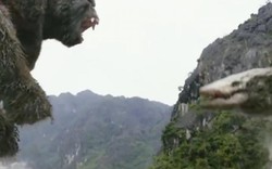 Đầm Vân Long Ninh Bình hoang sơ trong bom tấn "Kong: Skull Island"