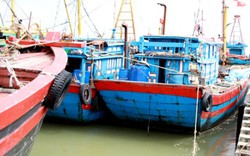 Hạ tầng cảng cá Hà Tĩnh: Cần chính sách đồng bộ