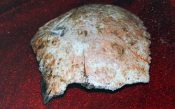 Hộp sọ 100.000 năm ở TQ thay đổi quan niệm về loài người?