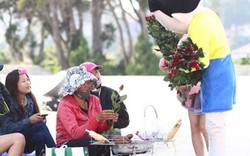 Ngày 8.3: Chàng trai giấu mặt tặng 600 bông hồng cho phụ nữ Đà Lạt