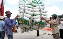 Nóng: Philippines cần nhập khẩu 800.000 tấn gạo
