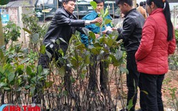 Khi nông dân cầm tay chỉ việc cho... nông dân