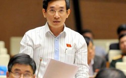 Vì sao ông Nguyễn Văn Cảnh xin thôi đại biểu Quốc hội chuyên trách?