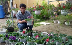 Thuê đất trồng hoa “mini”,  kiếm 10 triệu đồng/tháng