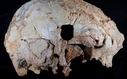 Hộp sọ 400.000 năm tuổi hé lộ bí mật tổ tiên loài người