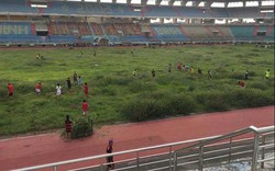 Sân bóng đá trăm tỷ bỏ hoang, “nuôi cỏ” ở Ninh Bình