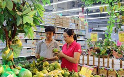 Trái cây Thái Lan, Trung Quốc lại ồ ạt vào Việt Nam